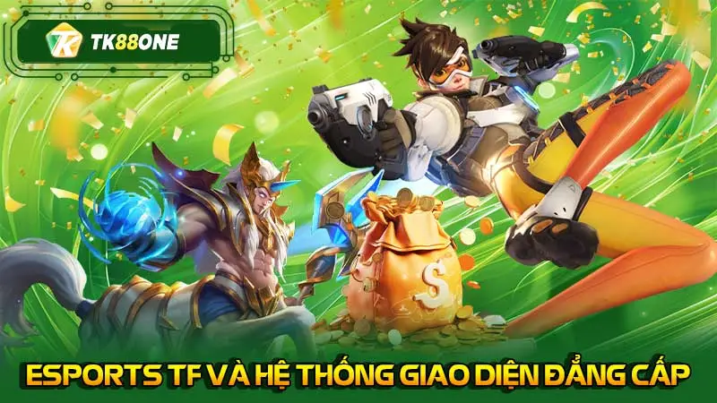 Esports TF và hệ thống giao diện đẳng cấp